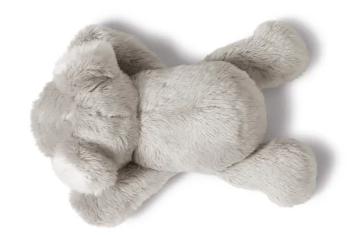 MagNICI Koala Kaola