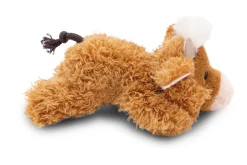 MagNICI Hochlandrind McMooray GREEN